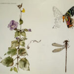 Additional Artwork